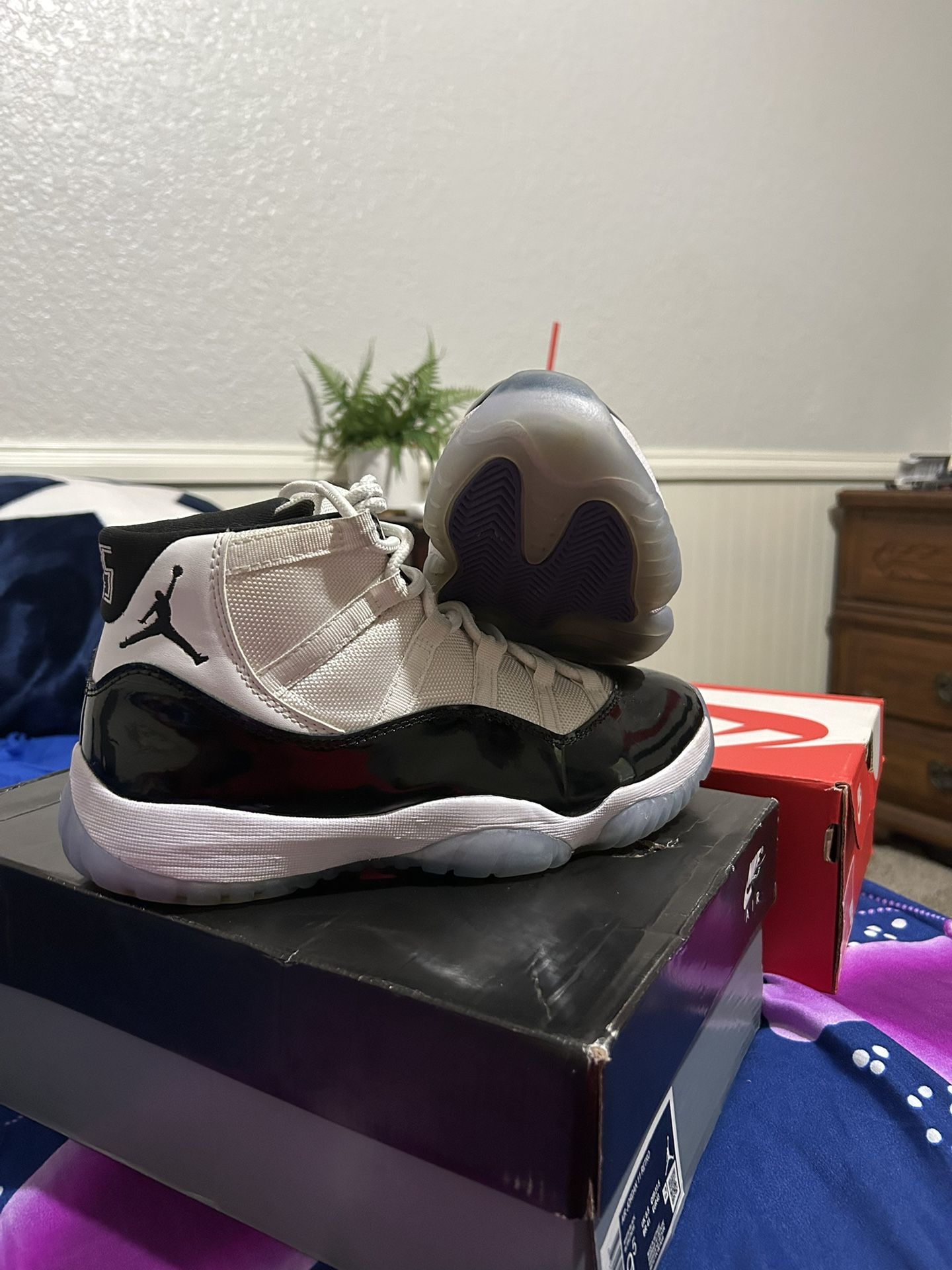 jordan 11 concord