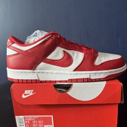 Nike Dunk Low St Paul Size 9.5 New