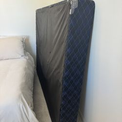 Queen spring board FREEEEEEEEEEEE