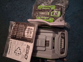 EGO 54v Lithium batterie charger