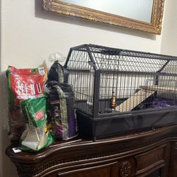 2 Guinea pigs With Cage And Supplies