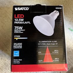Light Bulbs 