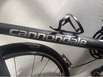 Cannodale