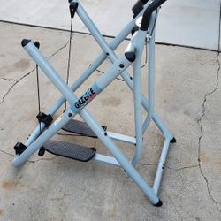 Tony's Little Gazelle Eliptical 