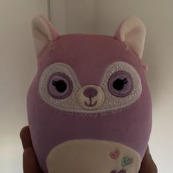 Squish Mallow Racoon