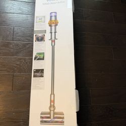 Dyson v15