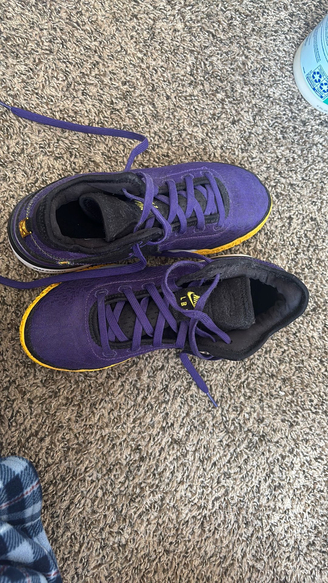 Zoom LeBron NXXT GEN Purple/black