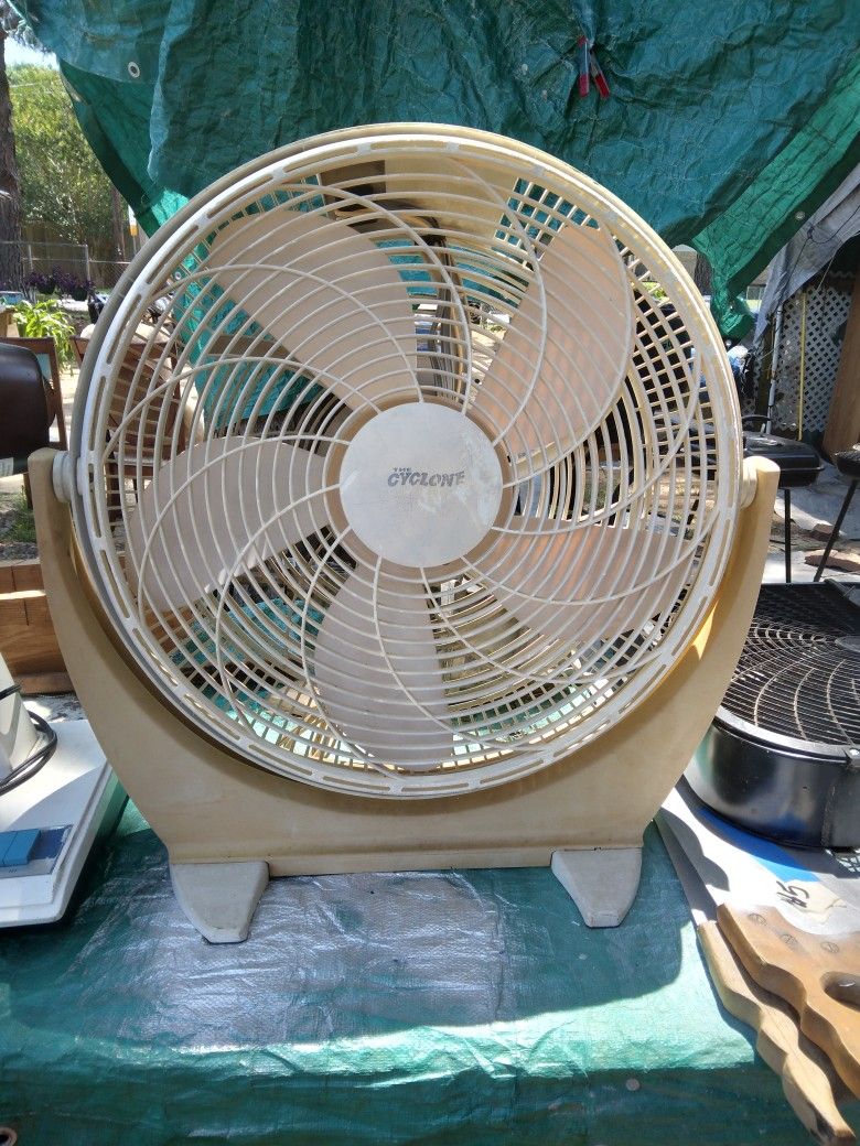 Fan