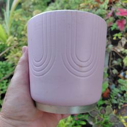 Houseplant Pots Huge Sale