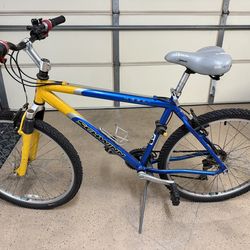 Schwinn Mountain Bike (Taiwan Frame)