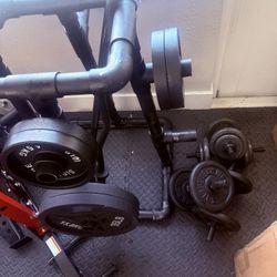 Dumbbells,Straight Bar, Curl Bar.  And Weights 