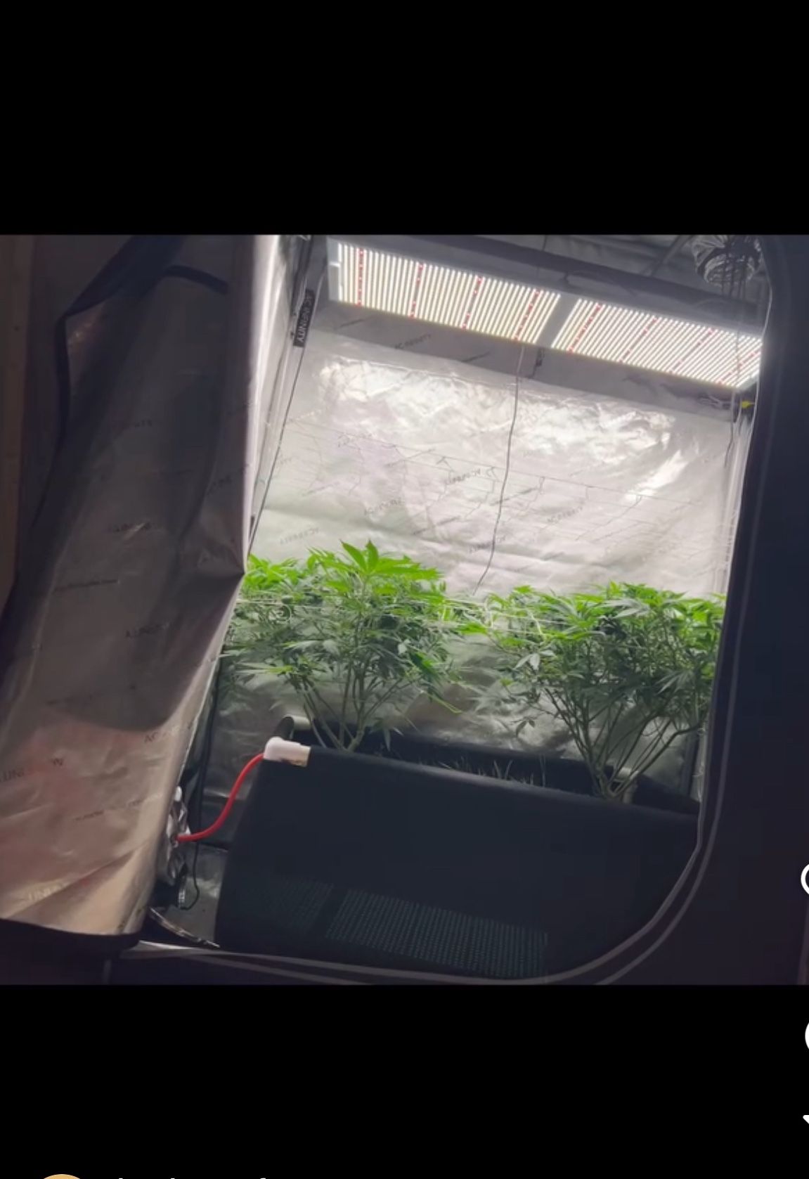 Grow Equipment Grow Kits Setup