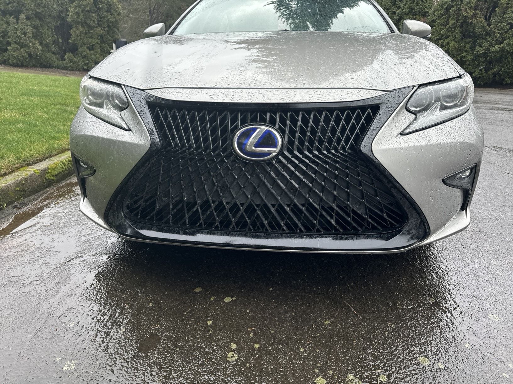 2017 Lexus ES 300h