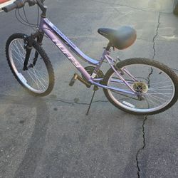 Woman's  24 inch bike