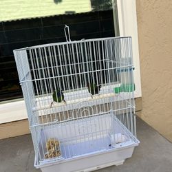 Cage Bird 