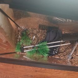 Fish Tank