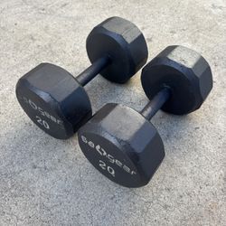 Hex Dumbbells - 40 Lbs Total