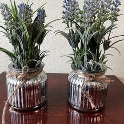 S/2 Decorative plant in the glass jars