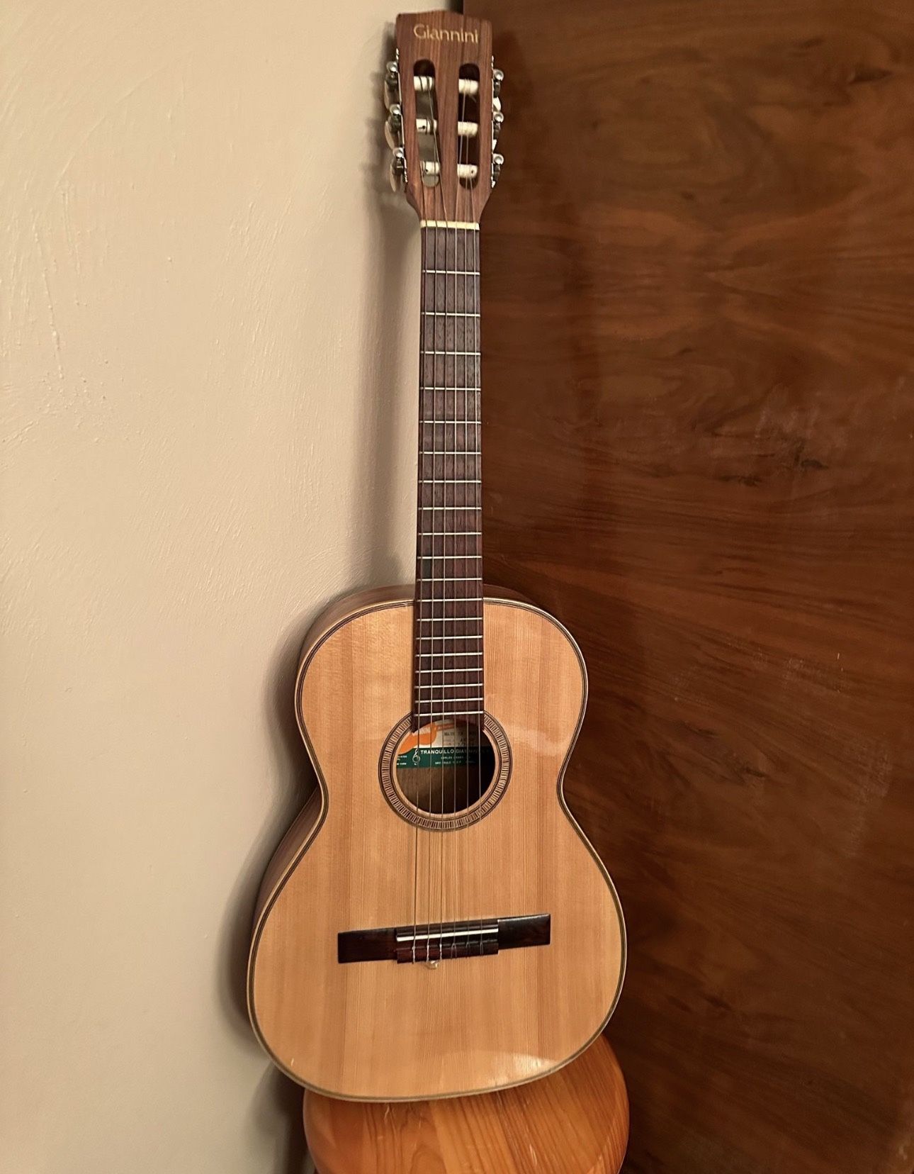 Giannini AWN-50 Classical Acoustic Guitar with Case