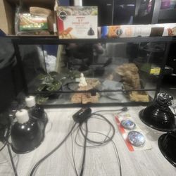 Snake Tank 