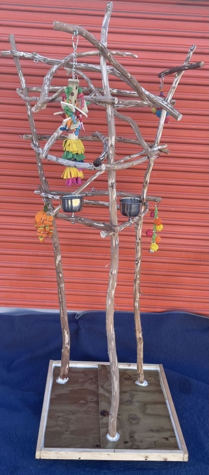 Tall African Grey / Amazon Parrot Perch Tree - The Great Socializer For Your Feathered Buddy !! ❤️
