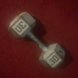 30 Pound Dumbbell 