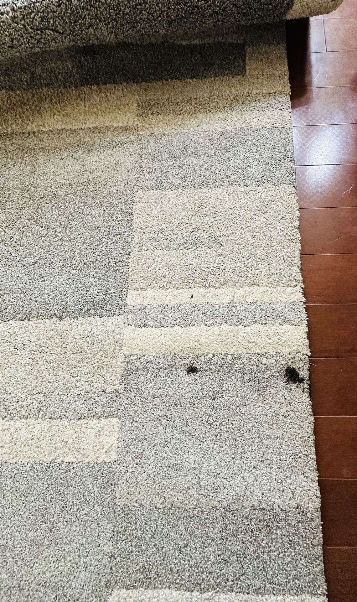 8feet* 10feet Rugs for Sale in Lynnwood, WA OfferUp