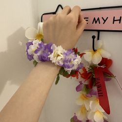 Purchased In Hawaii Hair And Body Decoration Everything In Picture Only $5