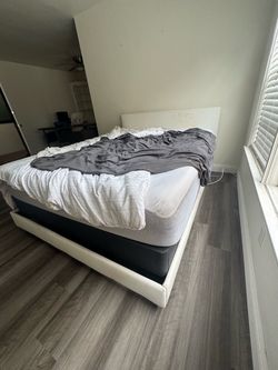 Queen sized Bed Frame & Mattress