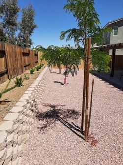 Landscaping