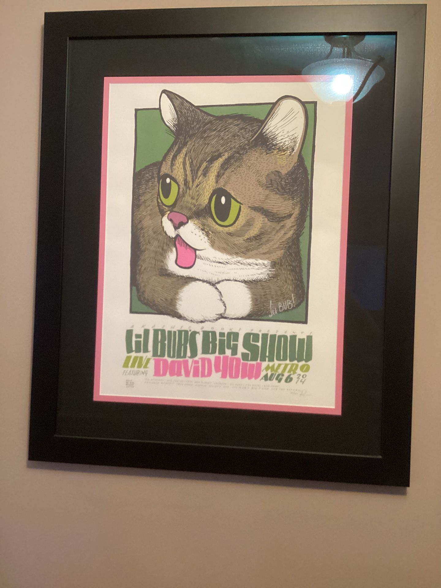 Lil bub Framed And Signed Print