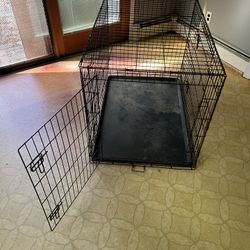 Dog Cage