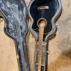 Carlos Robelli Bass Guitar