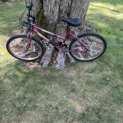 24” Mountain Bike 