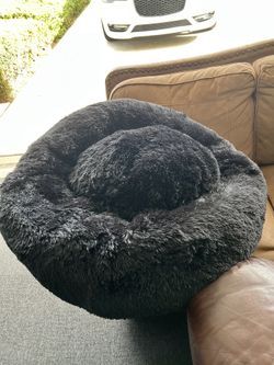 Dog Bed