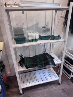 Garden Seed Starter Setup