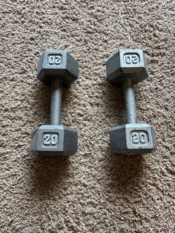 Dumbbells - 20 lbs
