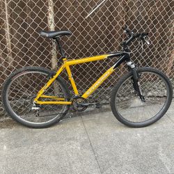 Schwinn Mesa Mountain or commuter bike - medium frame - READ listing