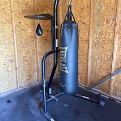 Heavy Weight Bag, Stand, And Speed Bag
