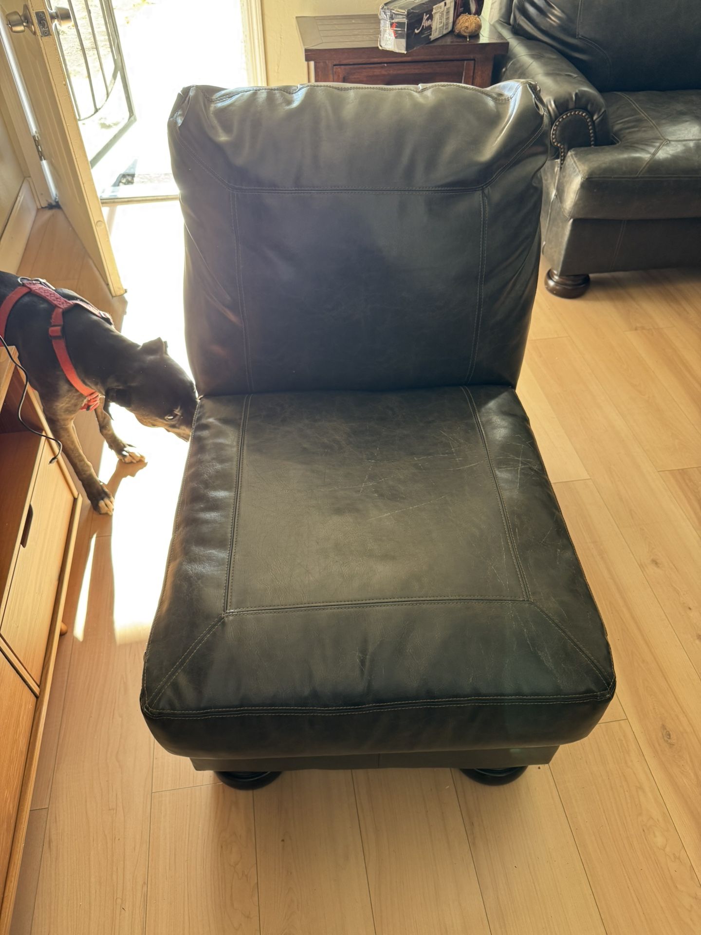 Small Couch Free