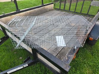 Large trap.