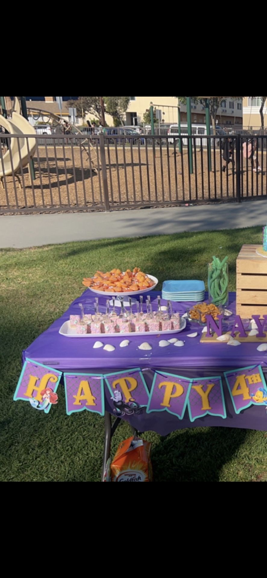 Ariel Birthday Banner And Backdrop
