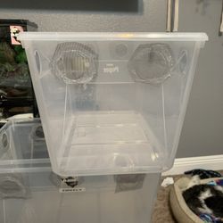 reptile containers
