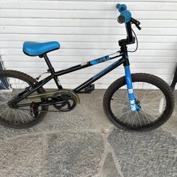 Diamond Back Bmw Bike