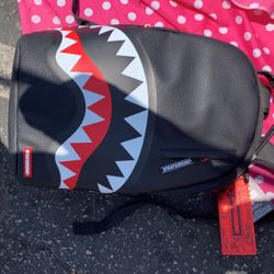 Spray Ground Backpack