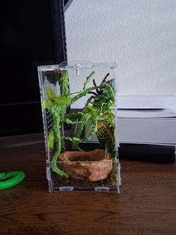 Desktop terrarium