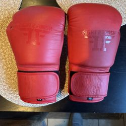 Fight 2 Finish Boxing Gloves