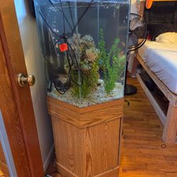 Hexagon Aquariums