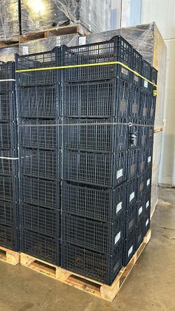 cestas plásticas 