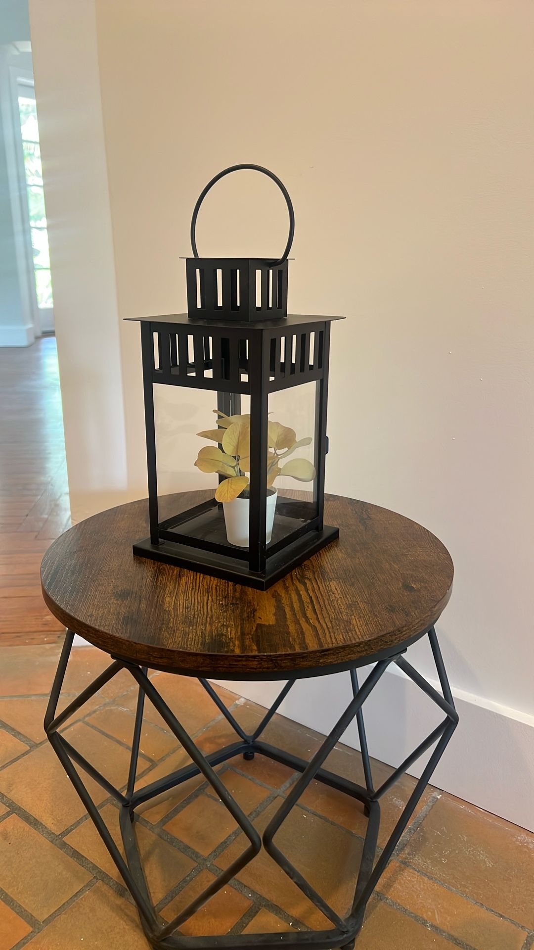 Decorative Plant arrangement